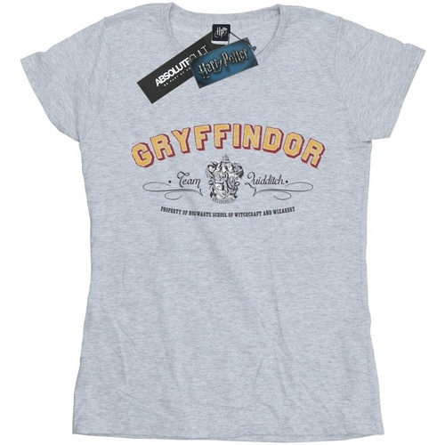 Abbigliamento Donna T-shirts a maniche lunghe Harry Potter Gryffindor Team Quidditch Grigio
