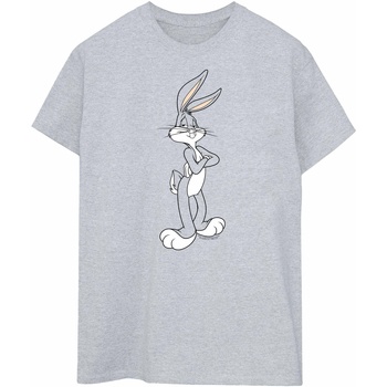 Abbigliamento Donna T-shirts a maniche lunghe Dessins Animés Bugs Bunny Crossed Arms Grigio