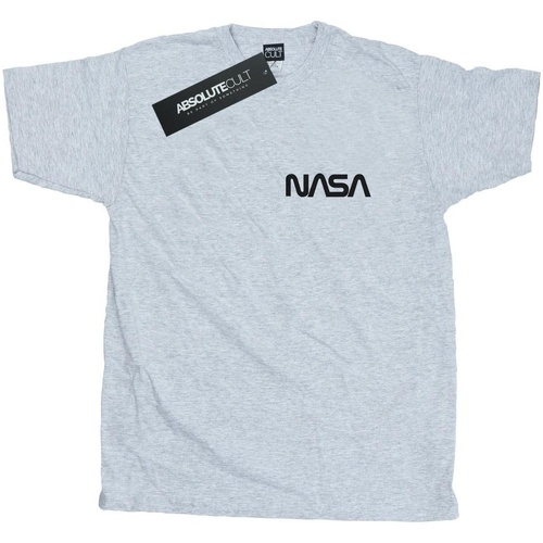 Abbigliamento Uomo T-shirts a maniche lunghe Nasa Modern Logo Chest Grigio