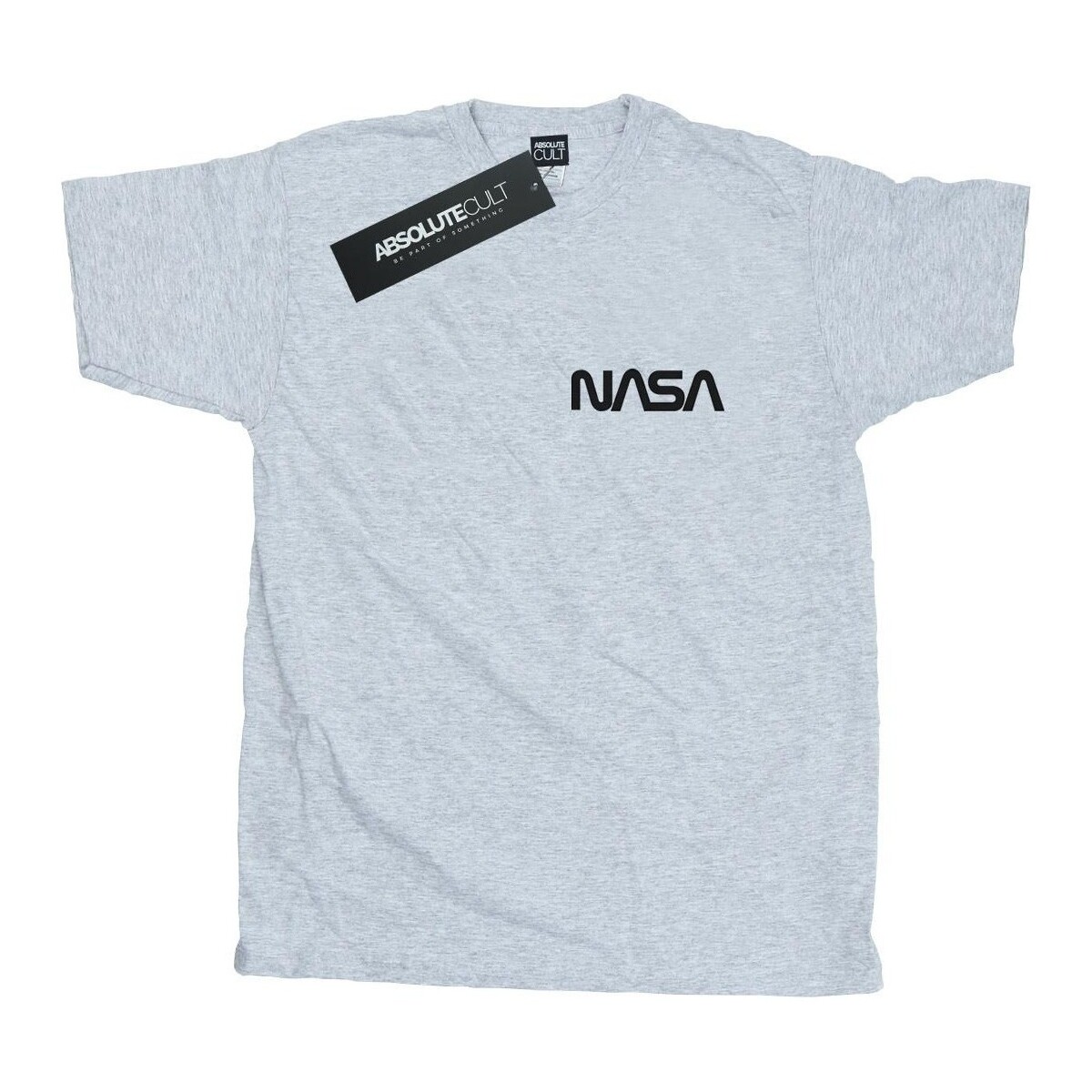 Abbigliamento Uomo T-shirts a maniche lunghe Nasa Modern Logo Chest Grigio