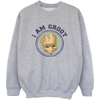 Abbigliamento Bambino Felpe Guardians Of The Galaxy Groot Varsity Grigio