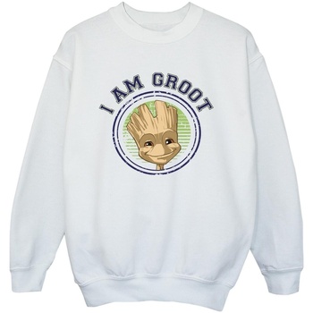 Abbigliamento Bambino Felpe Guardians Of The Galaxy Groot Varsity Bianco