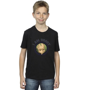 Abbigliamento Bambino T-shirt maniche corte Guardians Of The Galaxy Groot Varsity Nero