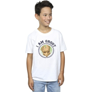 Abbigliamento Bambino T-shirt maniche corte Guardians Of The Galaxy Groot Varsity Bianco