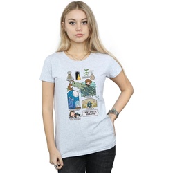 Abbigliamento Donna T-shirts a maniche lunghe Fantastic Beasts Chibi Newt Grigio