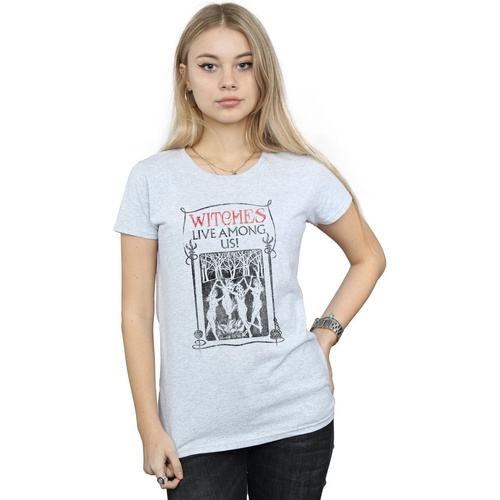 Abbigliamento Donna T-shirts a maniche lunghe Fantastic Beasts Witches Live Among Us Grigio