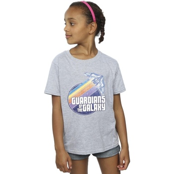 Abbigliamento Bambina T-shirts a maniche lunghe Guardians Of The Galaxy Badge Rocket Grigio