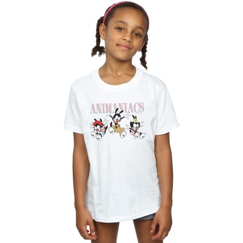 Abbigliamento Bambina T-shirts a maniche lunghe Animaniacs Group Jump Bianco
