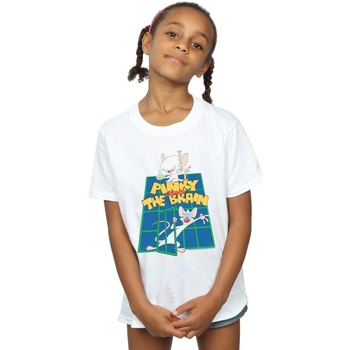 Abbigliamento Bambina T-shirts a maniche lunghe Animaniacs Pinky And The Brain Laboratory Bianco