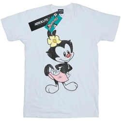 Abbigliamento Bambina T-shirts a maniche lunghe Animaniacs Dot Classic Pose Bianco