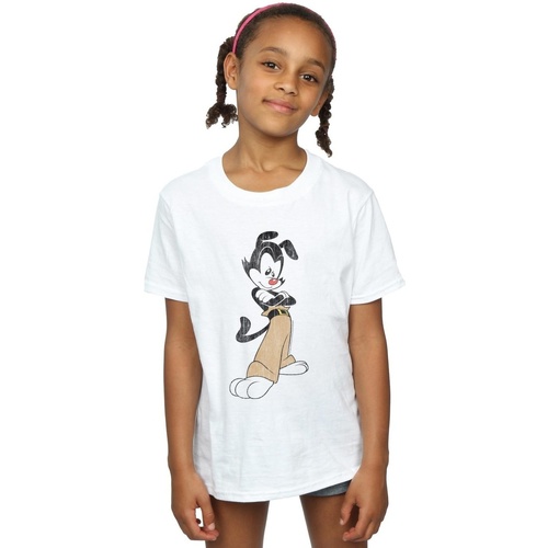 Abbigliamento Bambina T-shirts a maniche lunghe Animaniacs Yakko Classic Pose Bianco