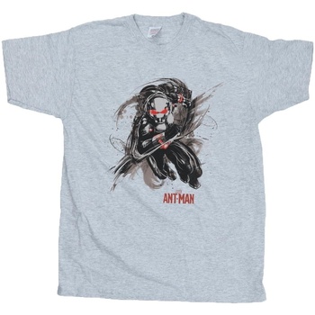 Abbigliamento Bambino T-shirt maniche corte Marvel Ant-Man Running Grigio