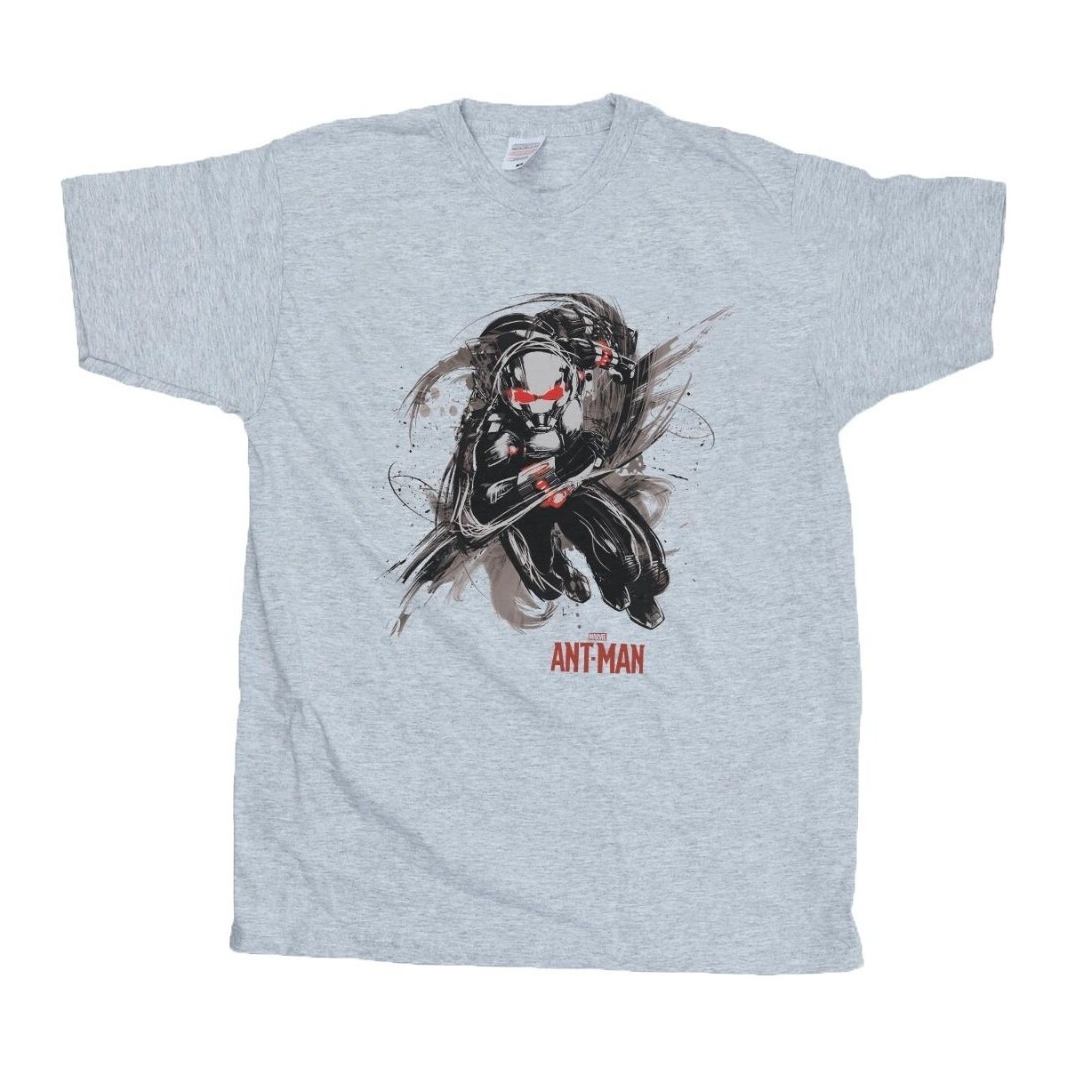 Abbigliamento Bambino T-shirt maniche corte Marvel Ant-Man Running Grigio