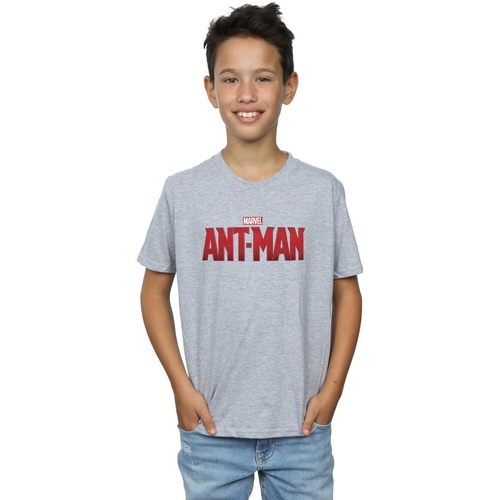 Abbigliamento Bambino T-shirt maniche corte Marvel Ant-Man Movie Logo Grigio