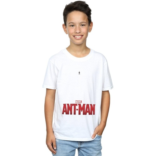 Abbigliamento Bambino T-shirt maniche corte Marvel Ant-Man Ant Sized Logo Bianco