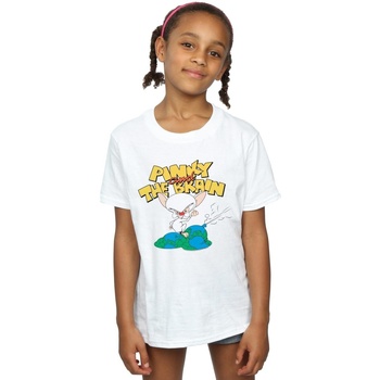 Abbigliamento Bambina T-shirts a maniche lunghe Animaniacs The Brain World Domination Bianco