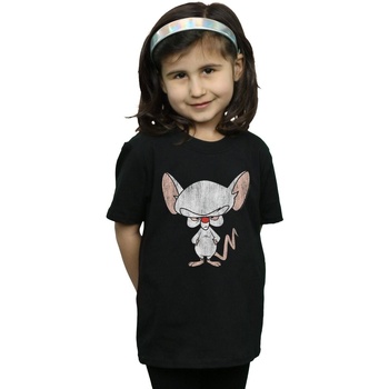 Abbigliamento Bambina T-shirts a maniche lunghe Animaniacs The Brain Classic Pose Nero