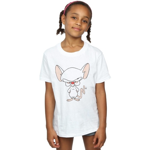 Abbigliamento Bambina T-shirts a maniche lunghe Animaniacs The Brain Classic Pose Bianco