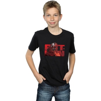Abbigliamento Bambino T-shirt maniche corte Marvel BI6537 Nero