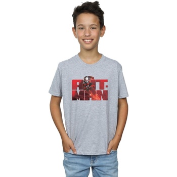 Abbigliamento Bambino T-shirt maniche corte Marvel BI6537 Grigio