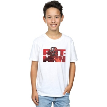 Abbigliamento Bambino T-shirt maniche corte Marvel  Bianco