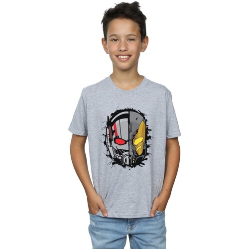 Abbigliamento Bambino T-shirt maniche corte Marvel Ant-Man Split Helmet Grigio