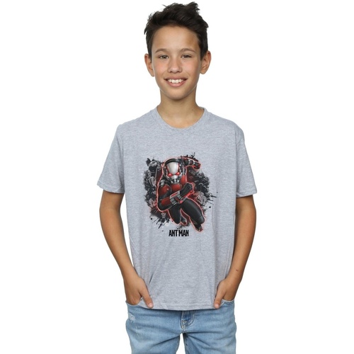 Abbigliamento Bambino T-shirt maniche corte Marvel  Grigio
