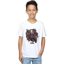 Abbigliamento Bambino T-shirt & Polo Marvel Ant-Man Ants Running Bianco
