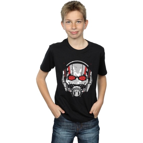 Abbigliamento Bambino T-shirt maniche corte Marvel Ant-Man Helmet Distressed Nero