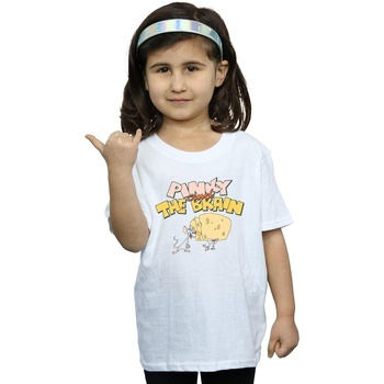 Abbigliamento Bambina T-shirts a maniche lunghe Animaniacs Pinky And The Brain Cheese Head Bianco