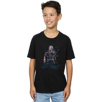 Abbigliamento Bambino T-shirt maniche corte Marvel Ant-Man And The Wasp Lab Pose Nero