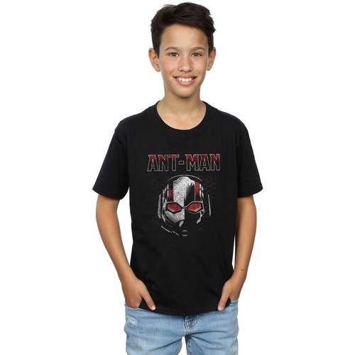 Abbigliamento Bambino T-shirt maniche corte Marvel Ant-Man And The Wasp Scott Mask Hexagon Nero