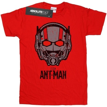 Abbigliamento Bambina T-shirts a maniche lunghe Marvel Ant-Man Helmet Rosso