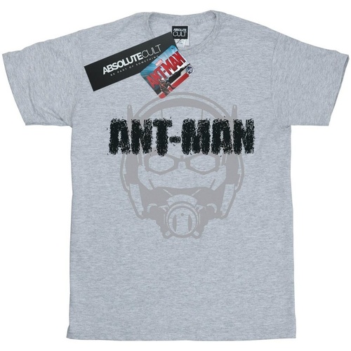 Abbigliamento Bambina T-shirts a maniche lunghe Marvel Ant-Man Helmet Fade Grigio