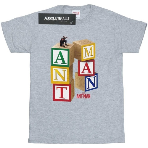 Abbigliamento Bambina T-shirts a maniche lunghe Marvel Ant-Man Blocks Grigio