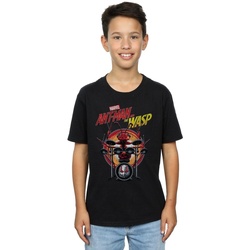 Abbigliamento Bambino T-shirt maniche corte Marvel Ant-Man And The Wasp Drummer Ant Nero