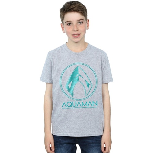 Abbigliamento Bambino T-shirt & Polo Dc Comics Aquaman Aqua Logo Grigio