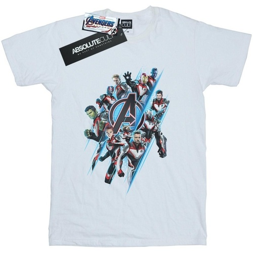 Abbigliamento Donna T-shirts a maniche lunghe Marvel Avengers Endgame Logo Team Bianco