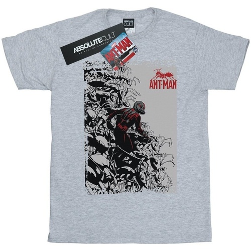 Abbigliamento Bambina T-shirts a maniche lunghe Marvel Ant-Man Army Grigio