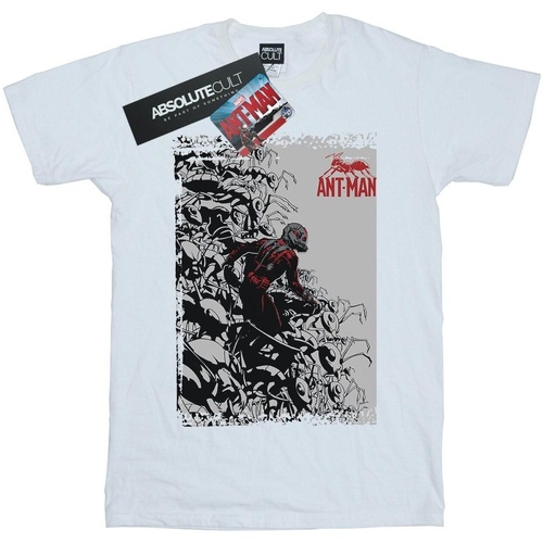 Abbigliamento Bambina T-shirts a maniche lunghe Marvel Ant-Man Army Bianco