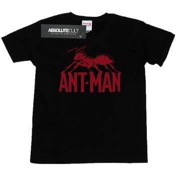 Abbigliamento Bambina T-shirts a maniche lunghe Marvel Ant-Man Logo Nero
