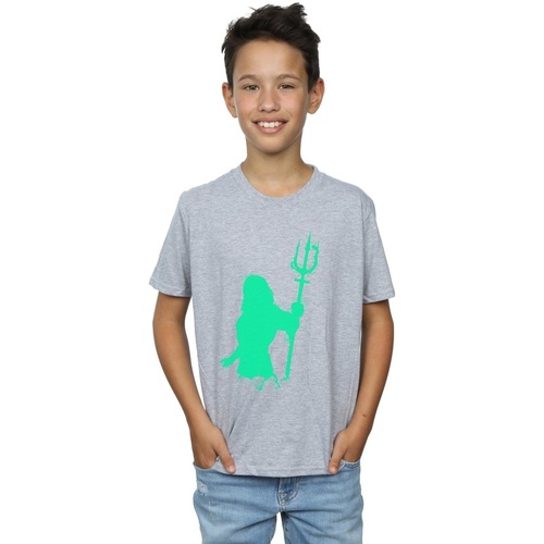 Abbigliamento Bambino T-shirt maniche corte Dc Comics Aquaman Aqua Silhouette Grigio