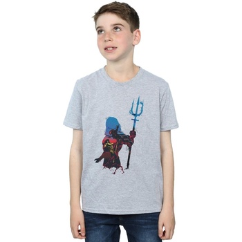 Abbigliamento Bambino T-shirt maniche corte Dc Comics Aquaman Battle Silhouette Grigio