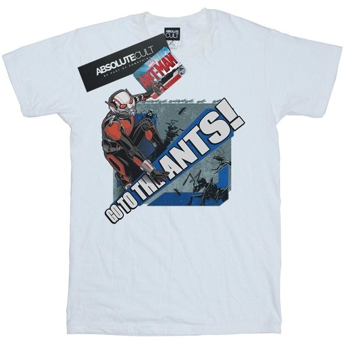 Abbigliamento Bambina T-shirts a maniche lunghe Marvel Ant-Man Go To The Ants Bianco