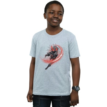 Abbigliamento Bambino T-shirt maniche corte Dc Comics Aquaman Black Manta Flash Grigio