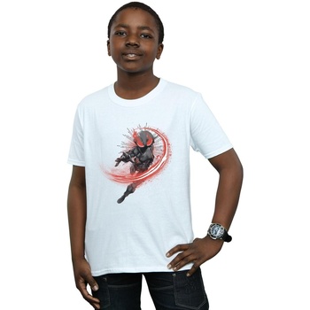 Abbigliamento Bambino T-shirt maniche corte Dc Comics Aquaman Black Manta Flash Bianco