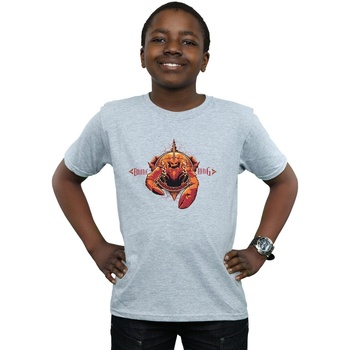 Abbigliamento Bambino T-shirt maniche corte Dc Comics Aquaman Brine King Grigio
