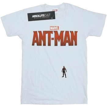 Abbigliamento Bambina T-shirts a maniche lunghe Marvel Ant-Man Tiny Bianco