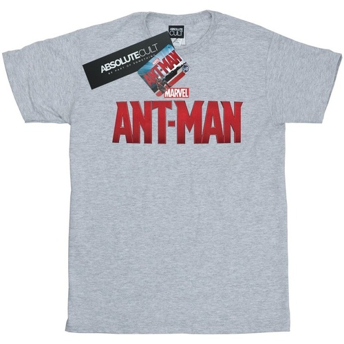 Abbigliamento Bambina T-shirts a maniche lunghe Marvel Ant-Man Movie Logo Grigio