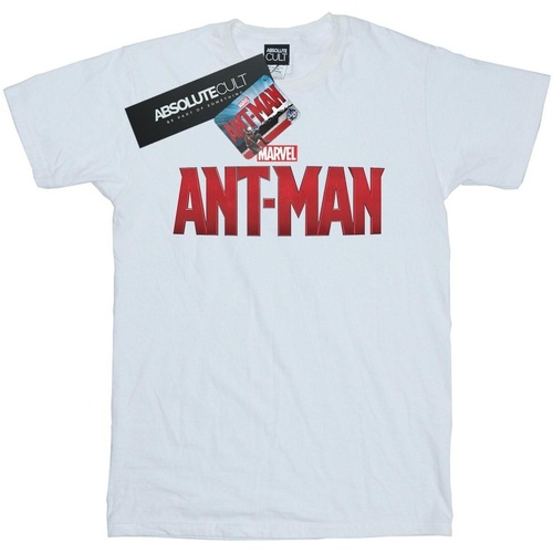 Abbigliamento Bambina T-shirts a maniche lunghe Marvel Ant-Man Movie Logo Bianco